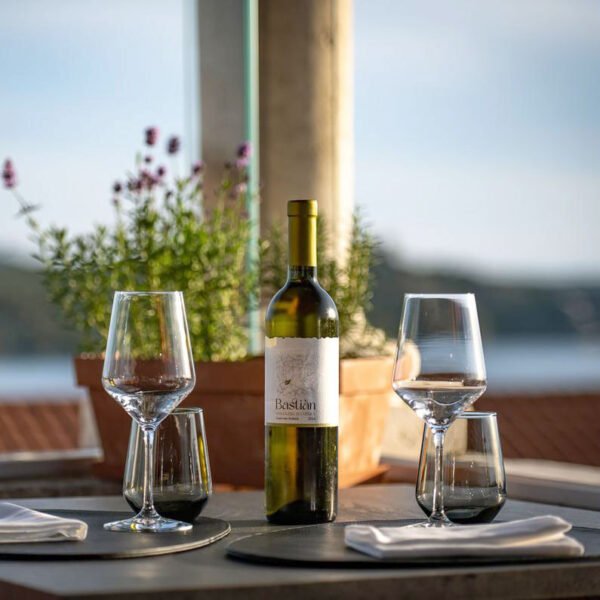 Vine and The View